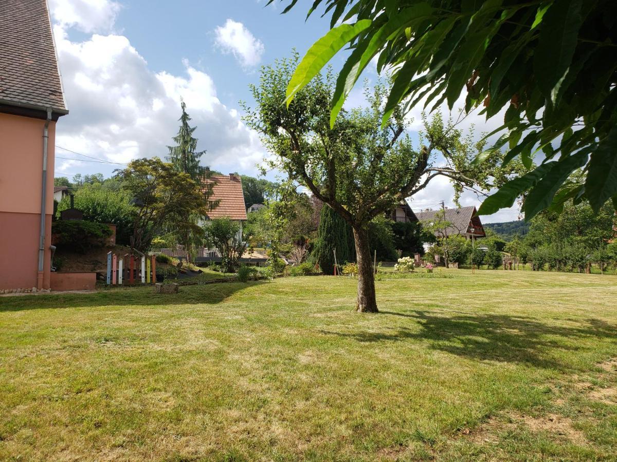 Le Souplex D'Anais Bed & Breakfast Schirmeck Exterior photo